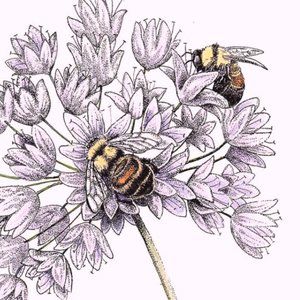 Meet your Posher, Evelyn